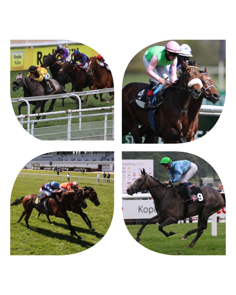 DIE LISTEN SIEGER 2021