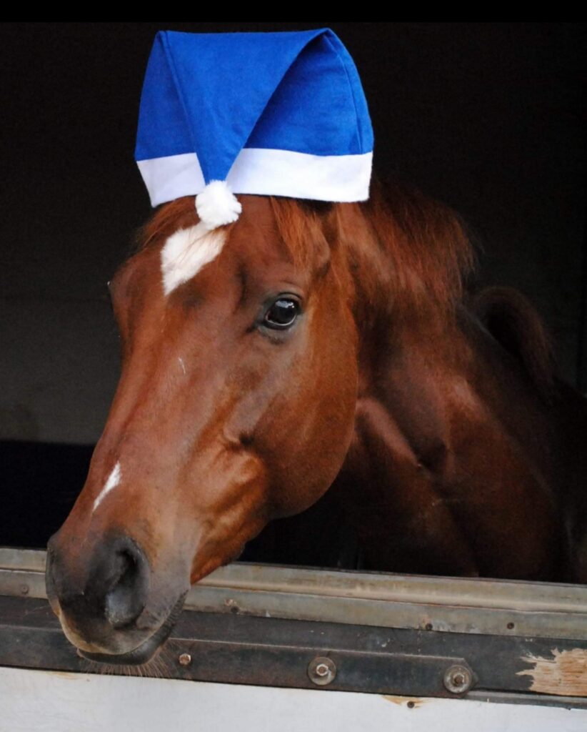 DER NIKOLAUS LÄSST SCHÖN GRÜSSEN