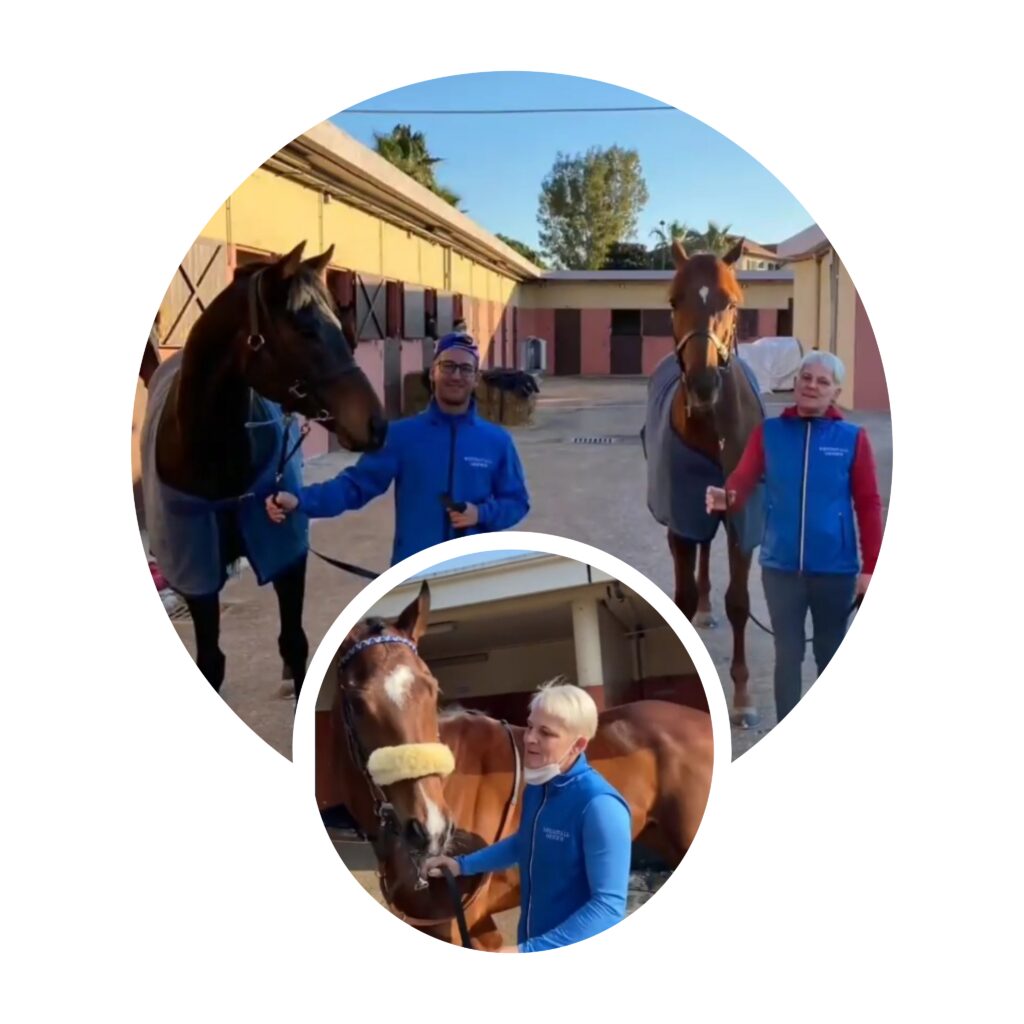 DURCHWACHSENE CAGNES BILANZ