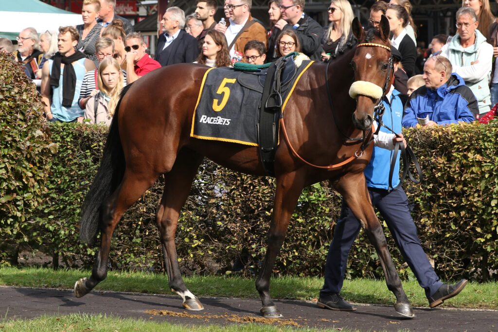 MILLIONAIRE WILL DERBYTICKET