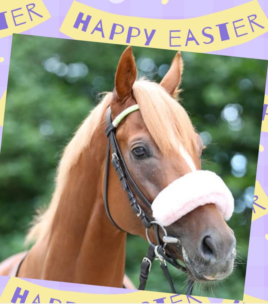 WIR WÜNSCHEN FROHE OSTERN
