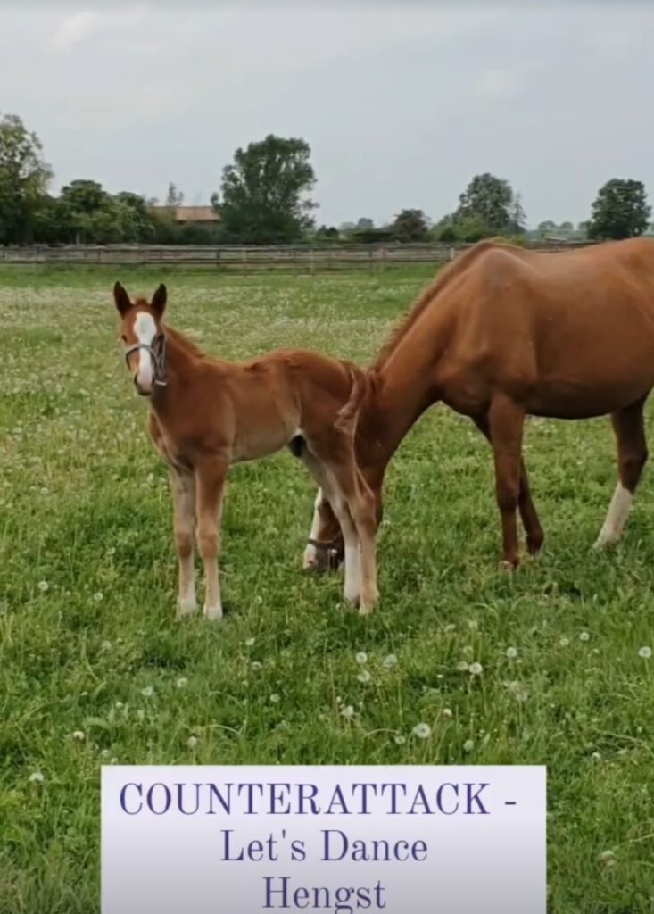 EX GREWE STUTE JETZT MAMA