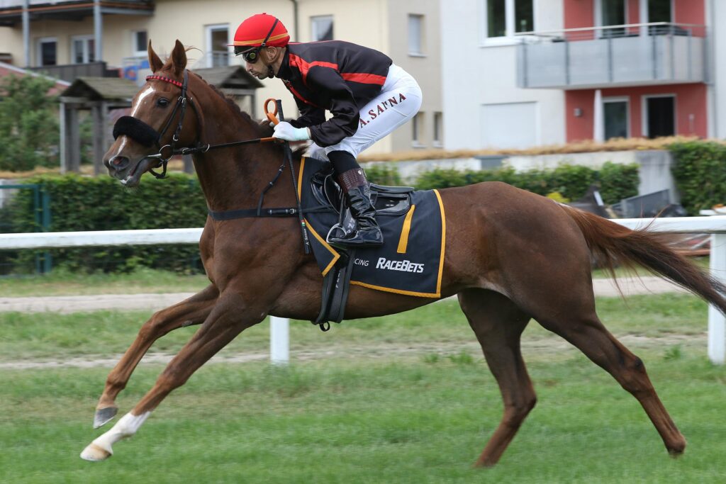 ERNEUT BLACK-TYPE IM VISIER