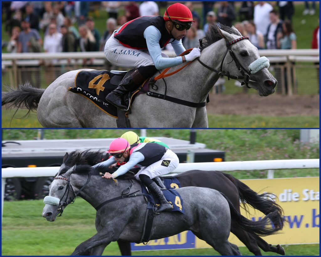 SCHIMMELPOWER IN OAKS D’ITALIA