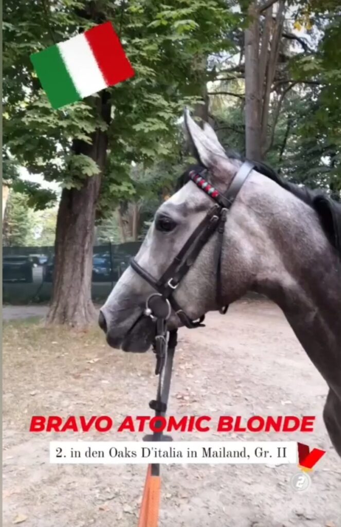 BÄRENSTARKE ZWEITE IN ITALIAN OAKS