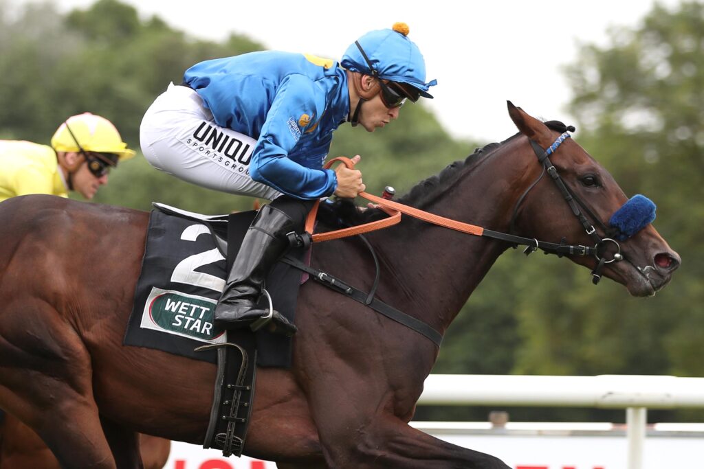 CLAIREFONTAINE STATT GOODWOOD