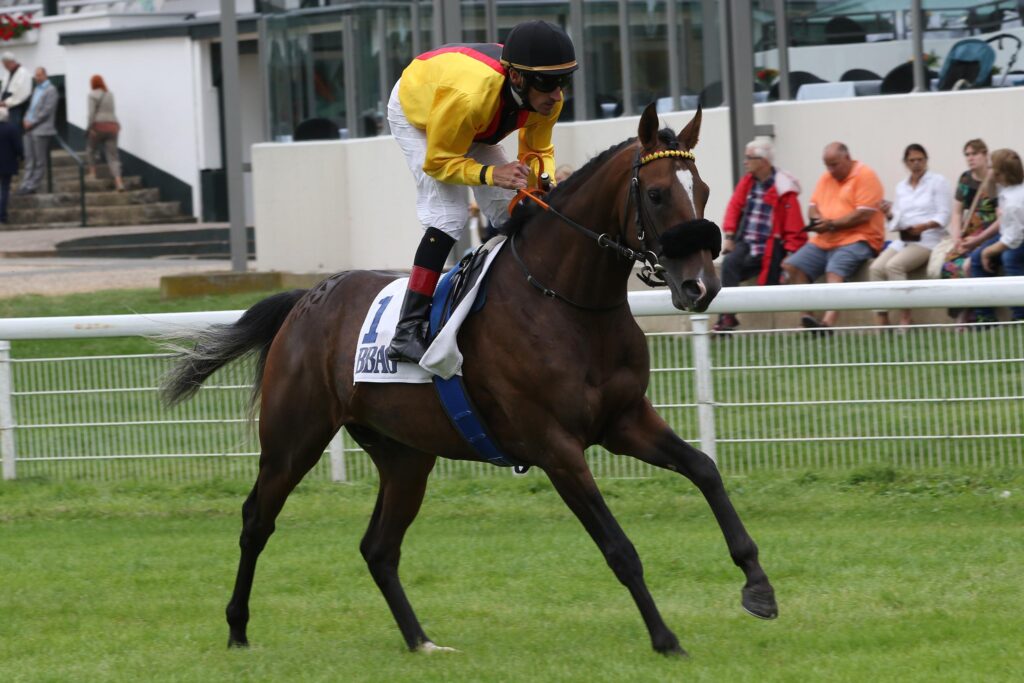 ARANO STARKER DRITTER IM BBAG