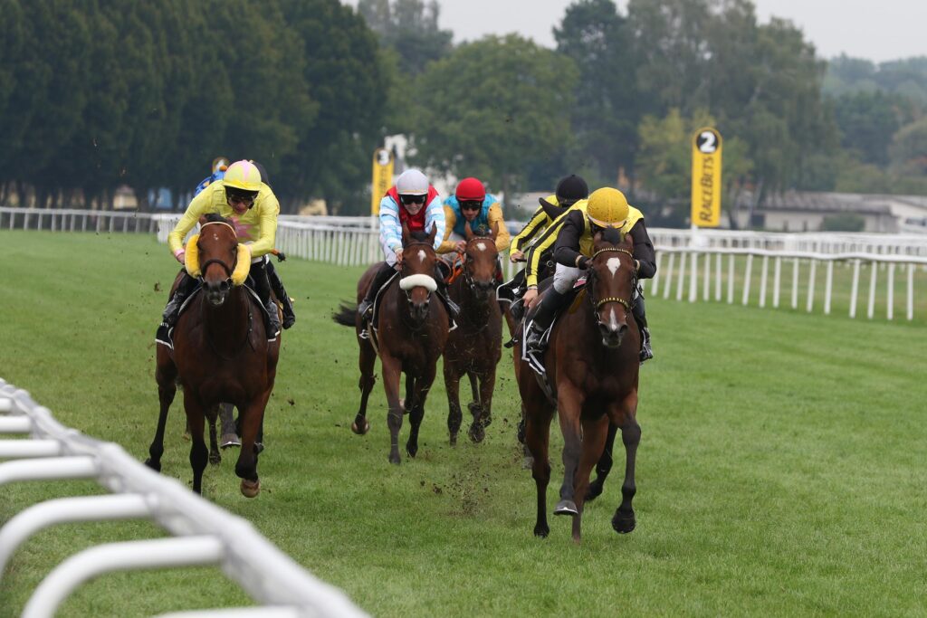 SEE PARIS STARKER GRUPPE ZWEITER