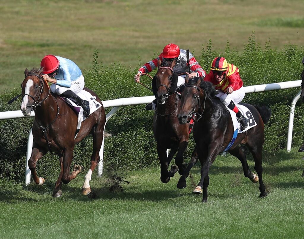 „MISTER“ LÄUFT ERNEUT STARK