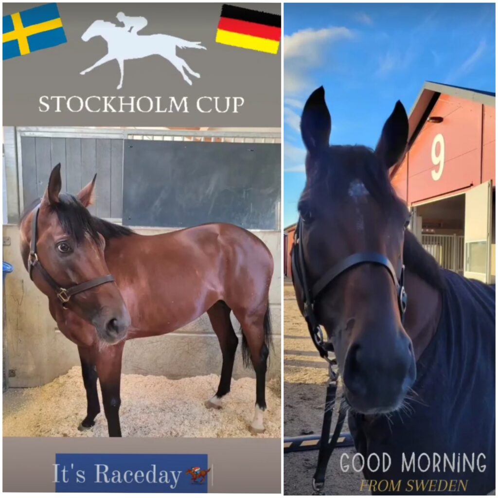 GUTEN MORGEN AUS SCHWEDEN