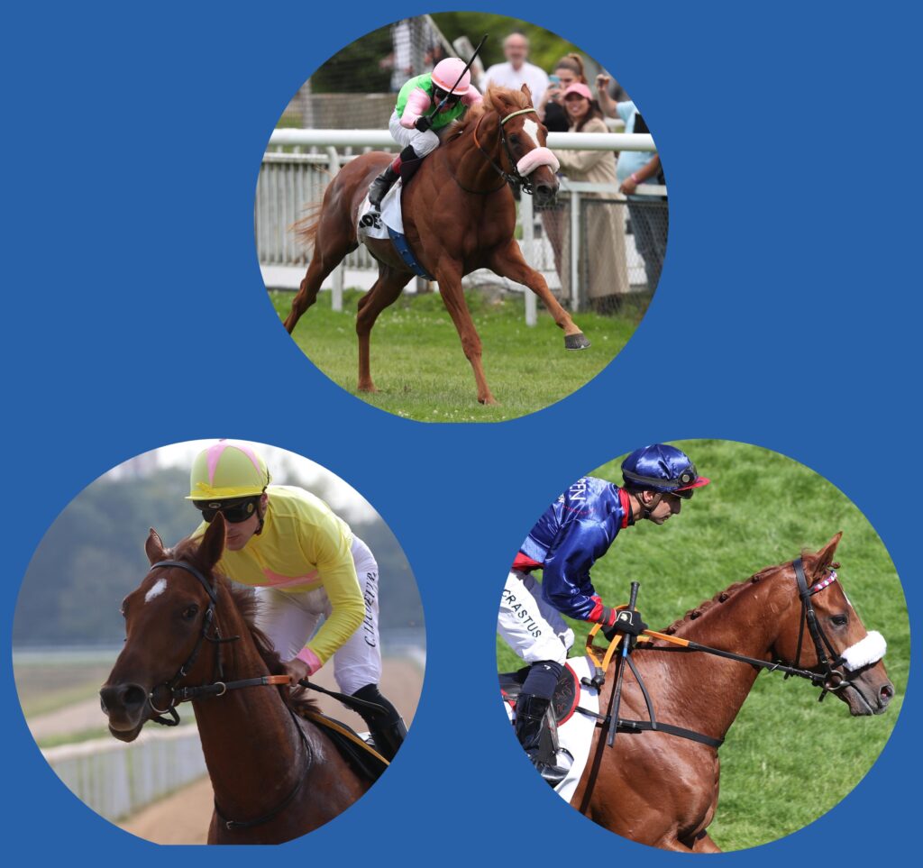 TRIO FÜR BAHREIN GENANNT