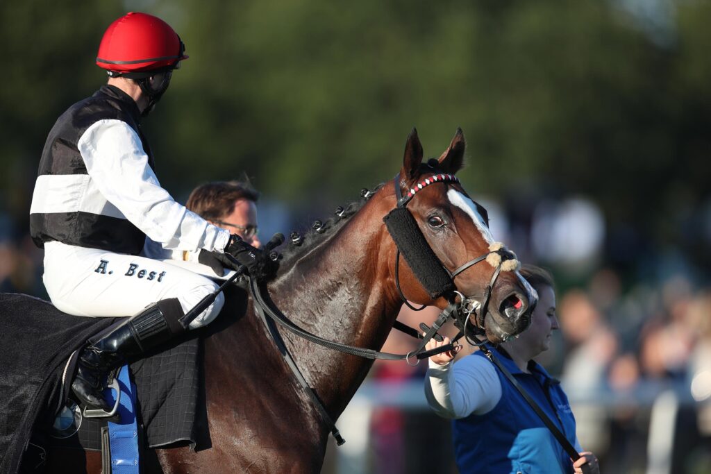 ERFOLGLOS IN HOPPEGARTEN