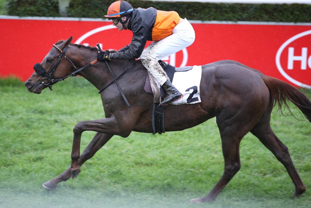 SAINT CLOUD UNGEFÄHRDET