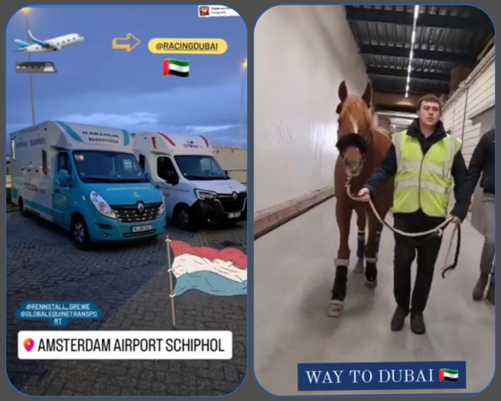 DUBAI REPORT (4)