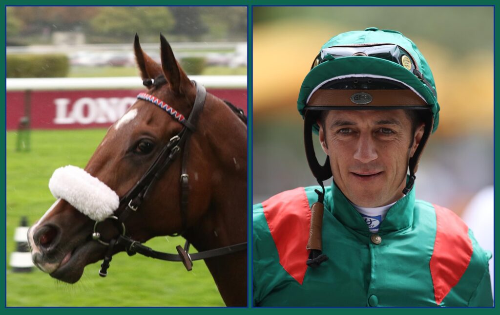 SOUMILLON SOLLS RICHTEN