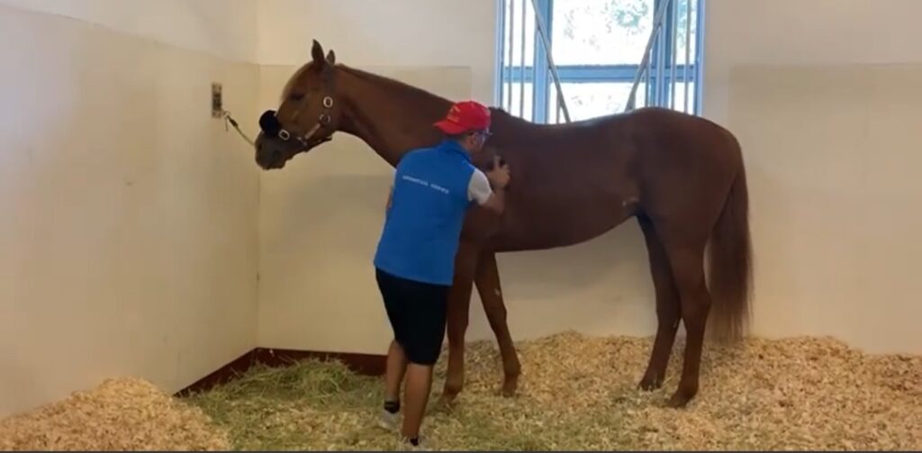 DUBAI REPORT (12)