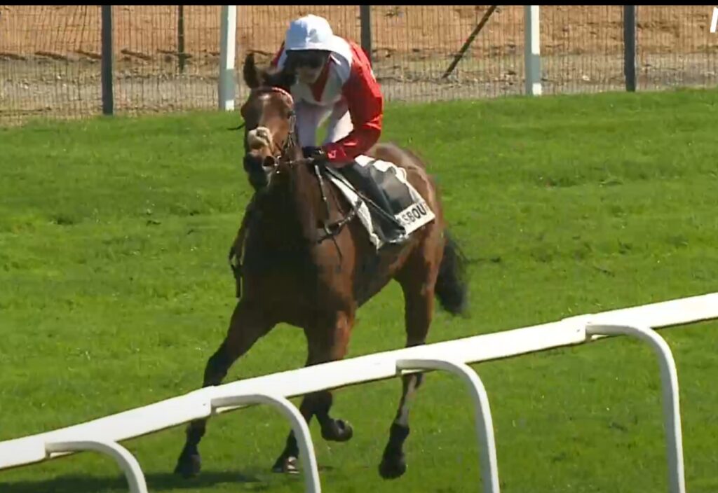 ZWEITES HANDICAP