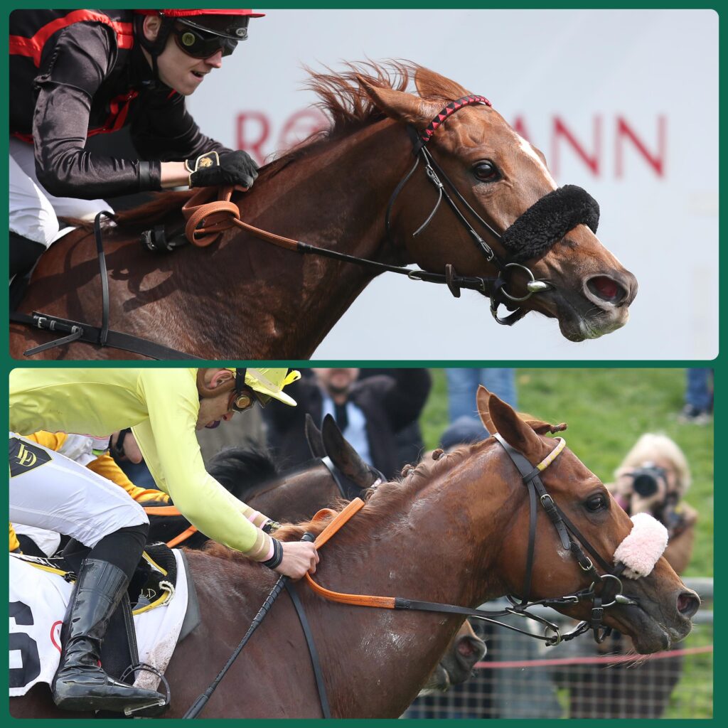 MAILÄNDER GRUPPE DUO
