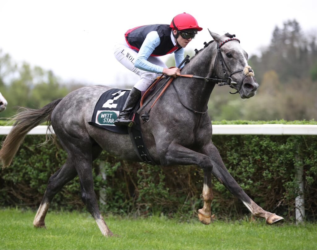 DERBY TRIAL UND MAIDEN