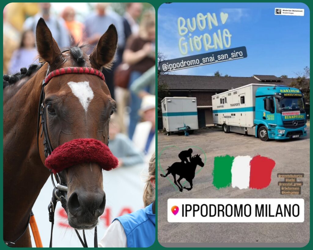 BUON GIORNO MILANO