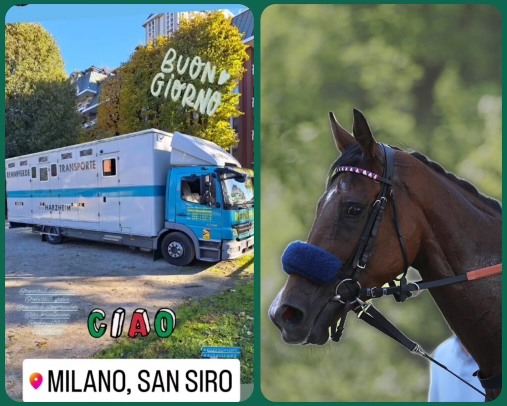 Ben arrivati a Milano