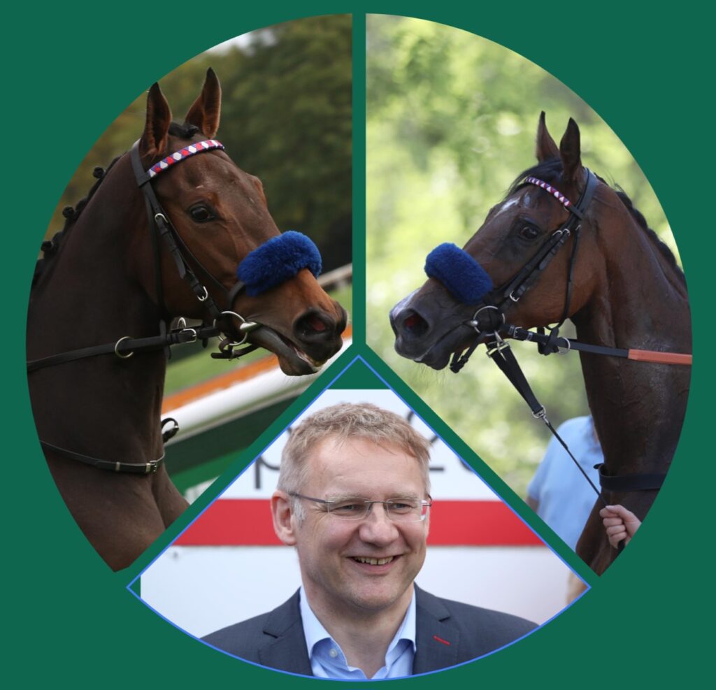 DUO ZUR DEAUVILLE VENTE