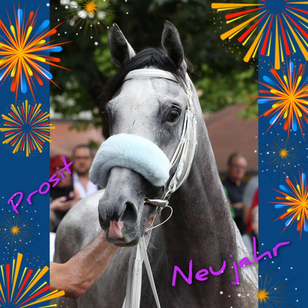 FROHES NEUES JAHR 2024