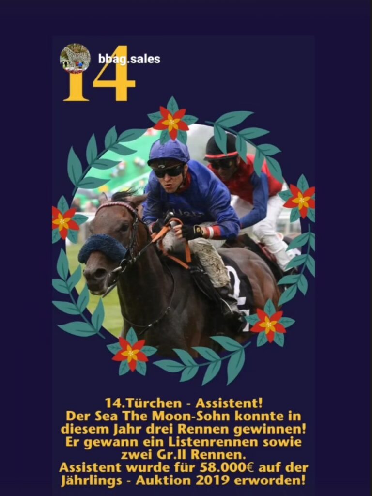 TÜR 14 MIT TOLLEN MEMORYS