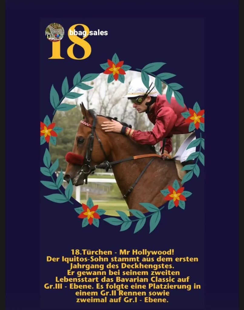 18 – HALLO HOLLYWOOD
