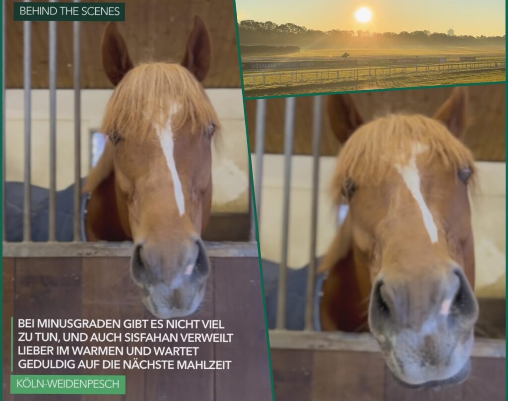 IMPRESSIONEN