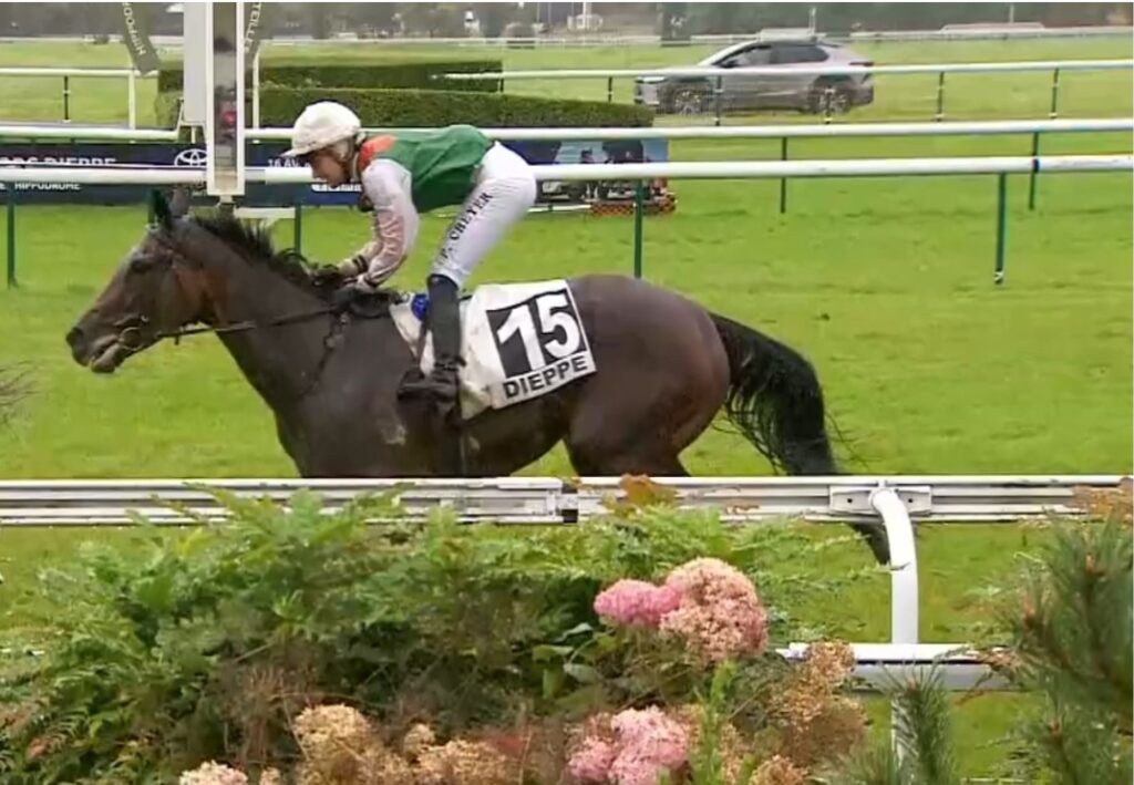 NEUE IN CHANTILLY