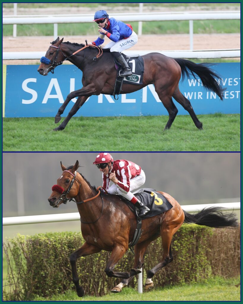 DAS SAGT DER HANDiCAPPER