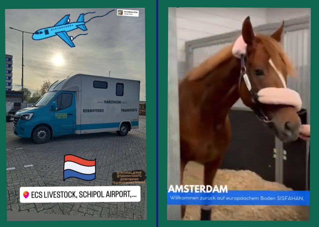 ZURÜCK IN EUROPA