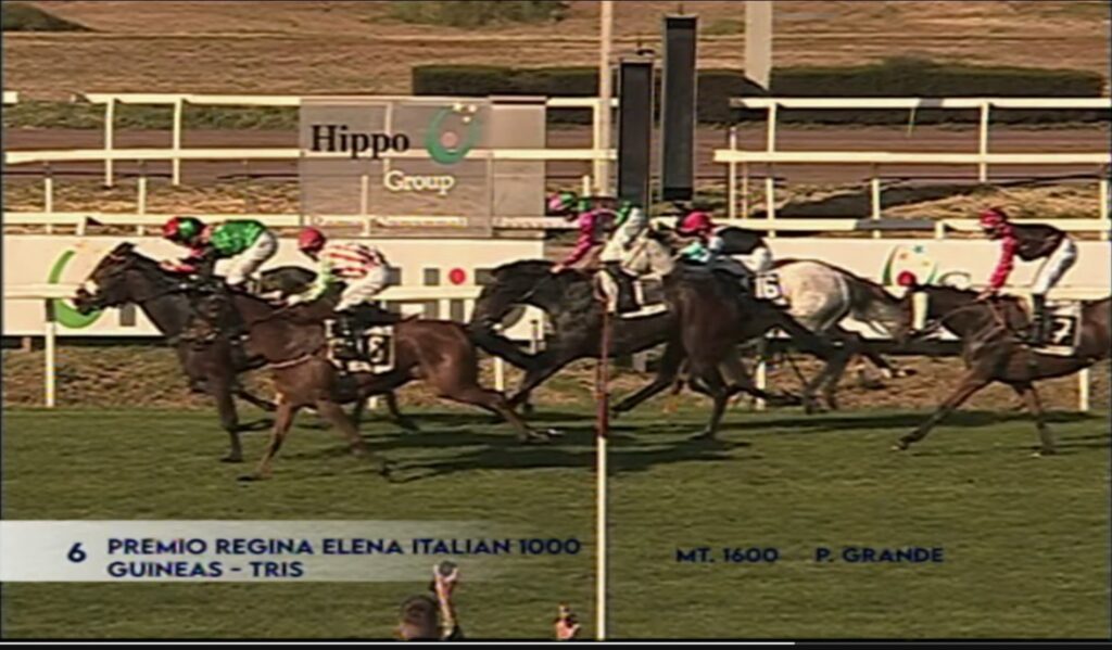 SECHSTE IN 1.000 GUINEAS