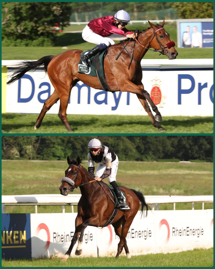 ZWEIMAL HANDICAP