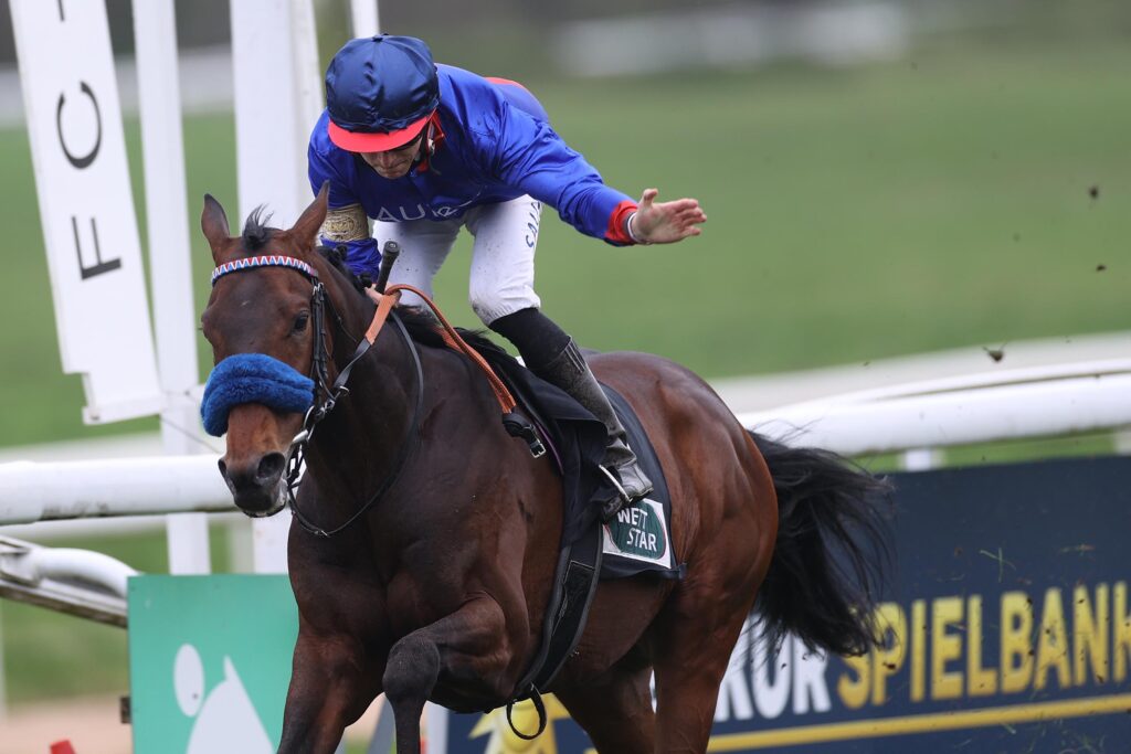 SARATOGA UND CURRAGH WINKEN