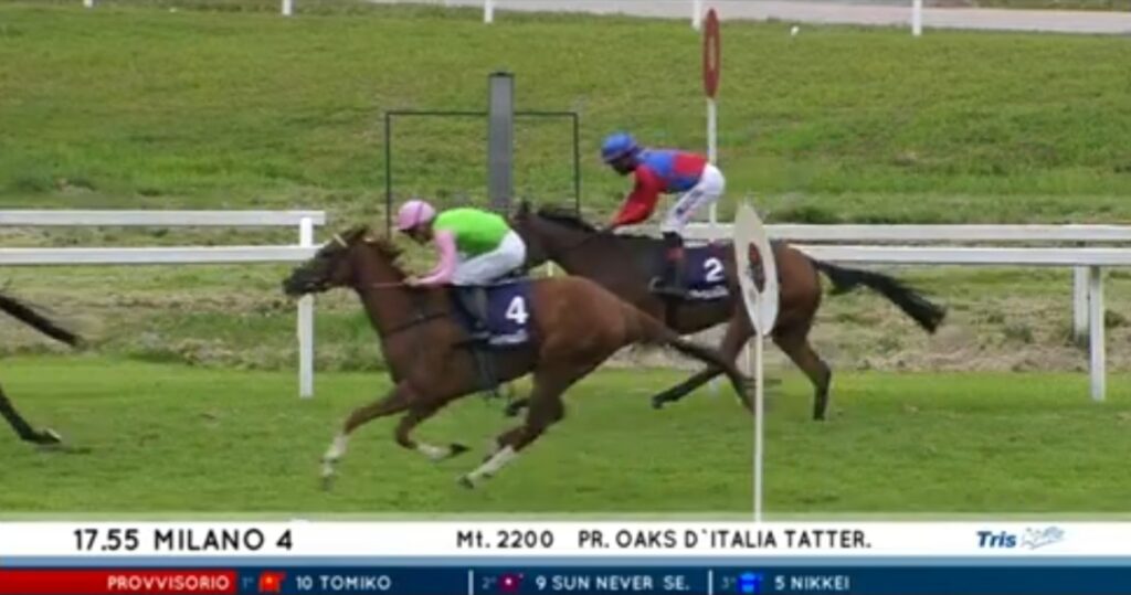 VIERTE IN ITALIAN OAKS