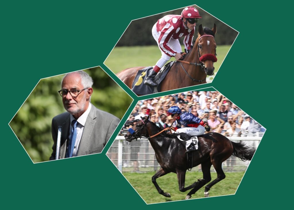 DAS SAGT DER HANDICAPPER