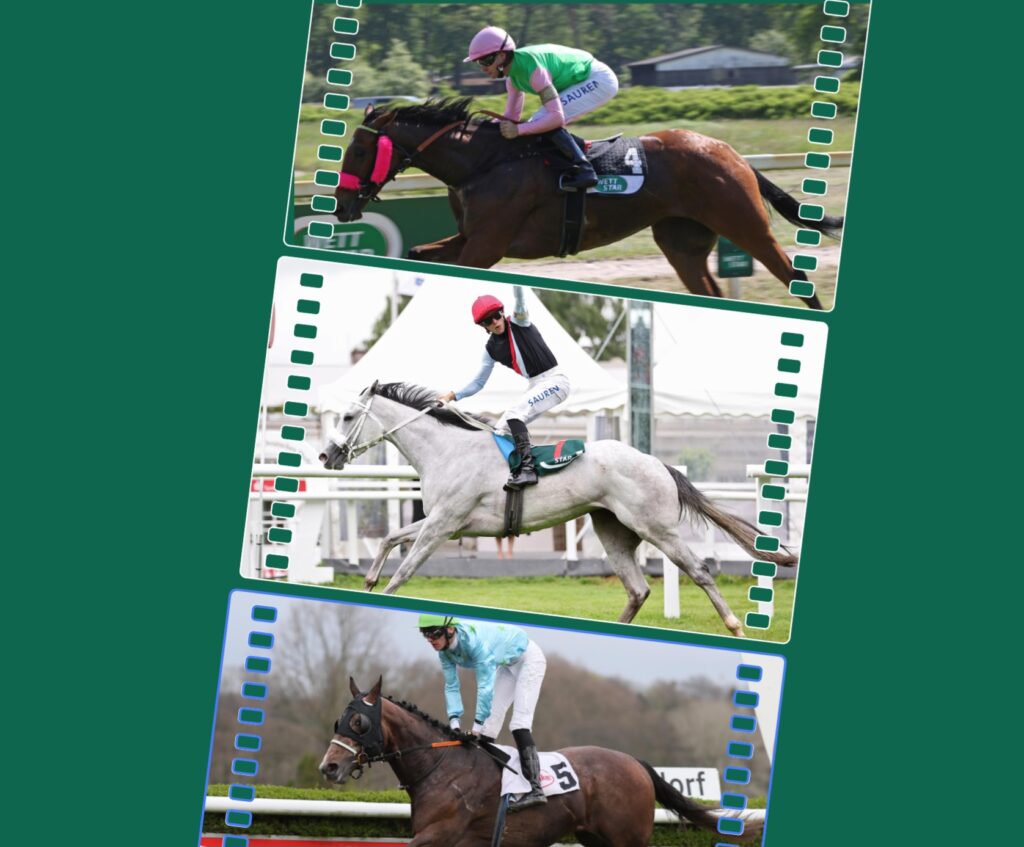 TRIO FÜR HOPPEGARTEN