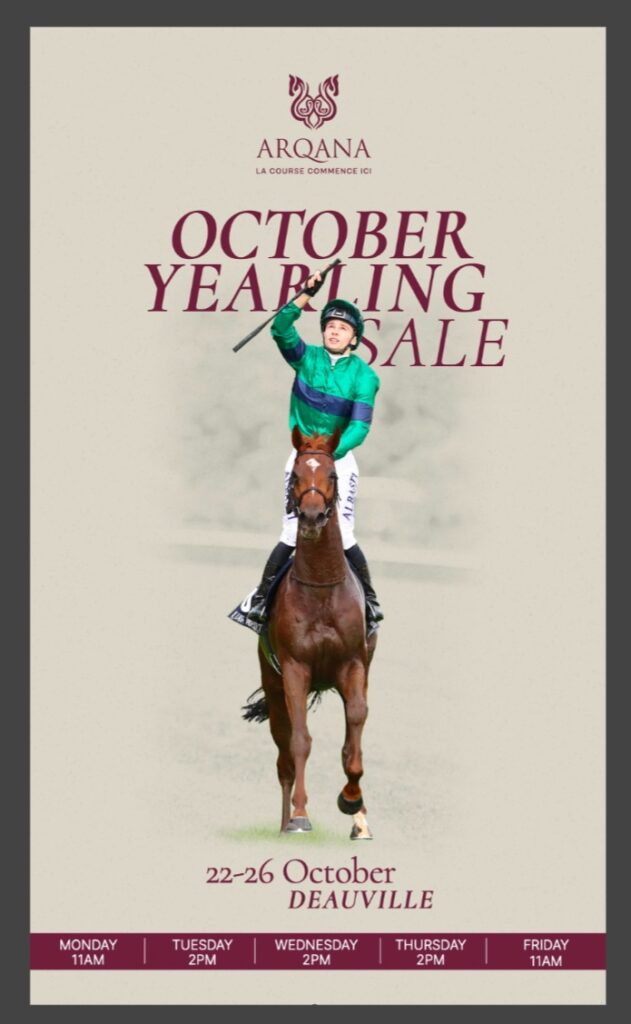 ARQANA SALE KÄUFER