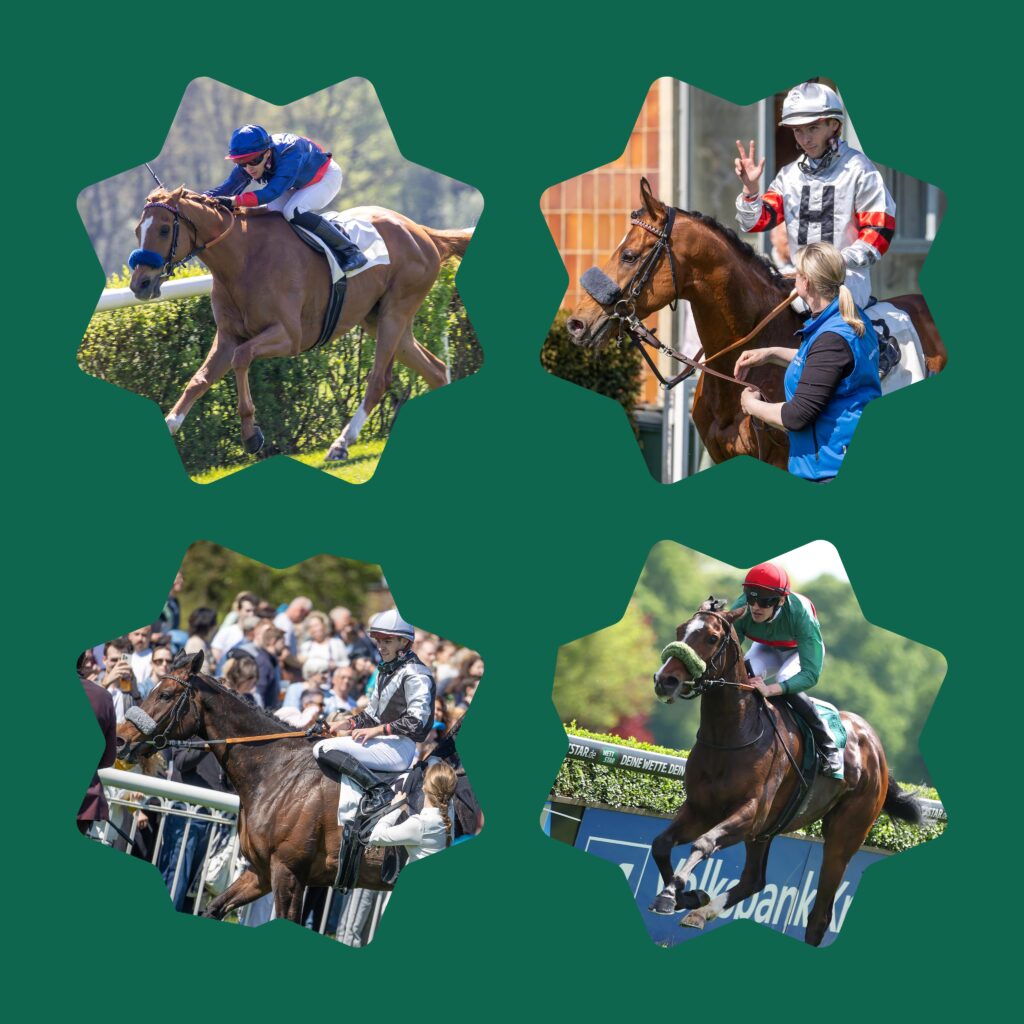 ERFOLGS QUARTETT