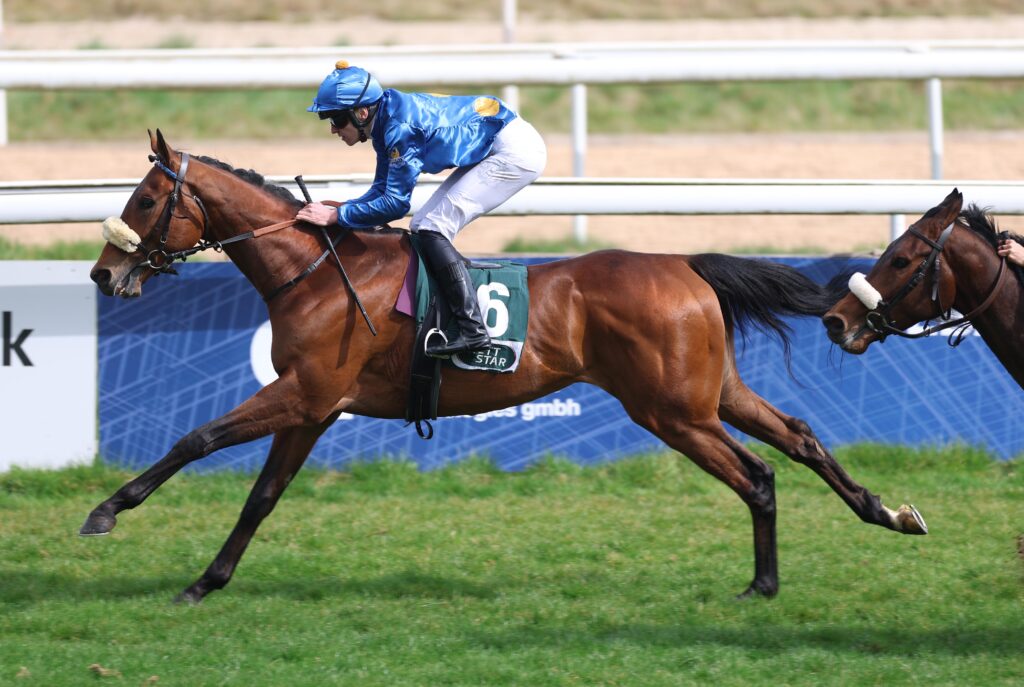 DERBYTICKET IM BLICK