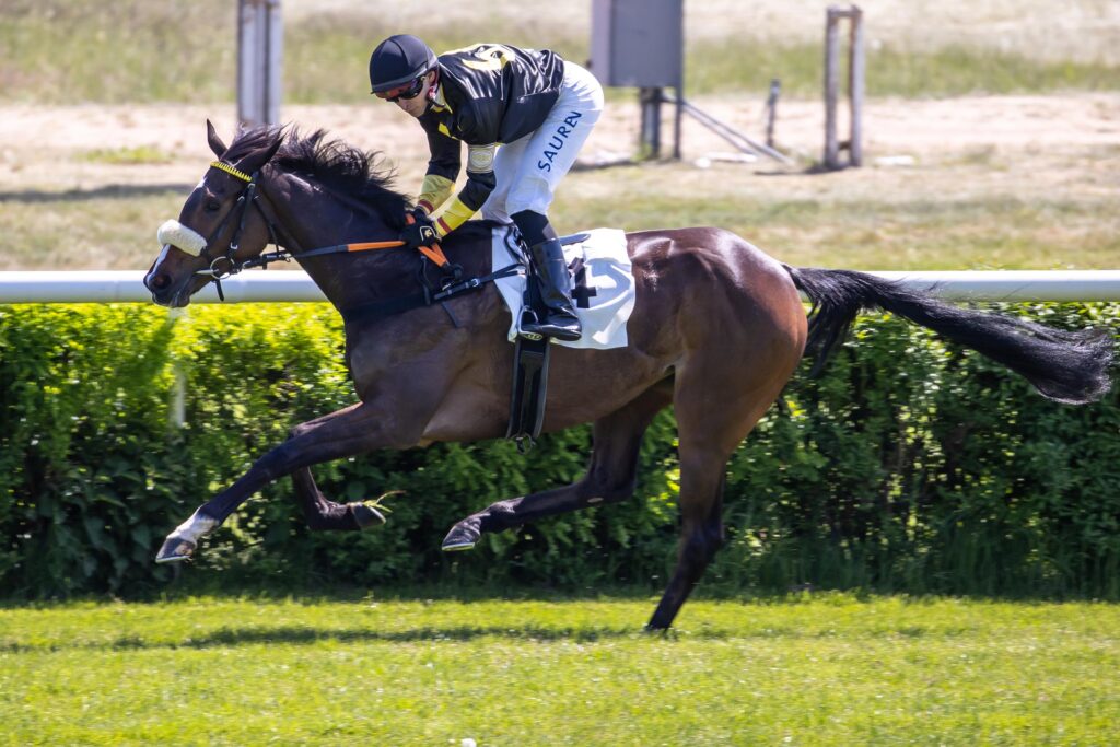 TROTZ PAUSE HOCH ÜBERLEGEN