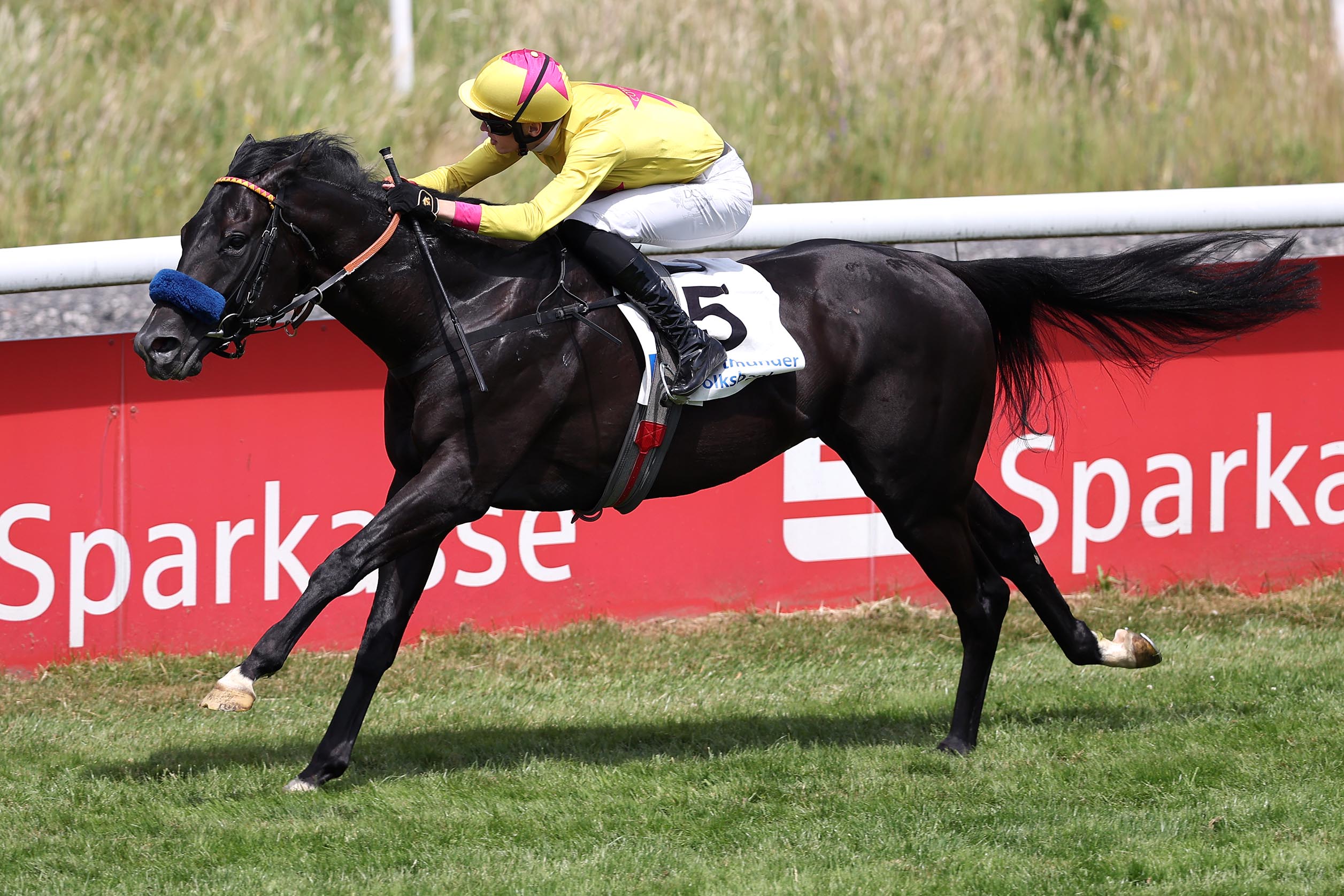 ENDLICH WIEDER WIKINGER