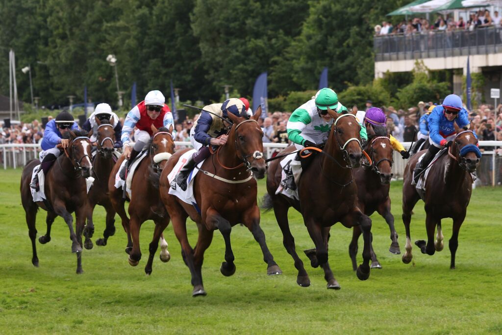 ENZIAN DERBY VIERTER