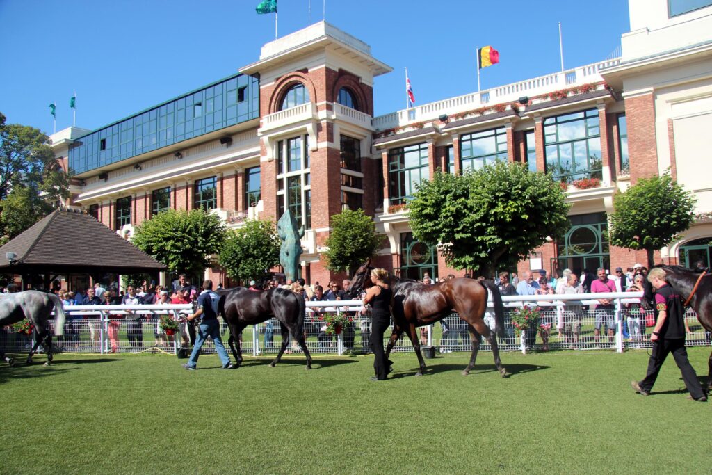 UM VIEL GELD IN DEAUVILLE