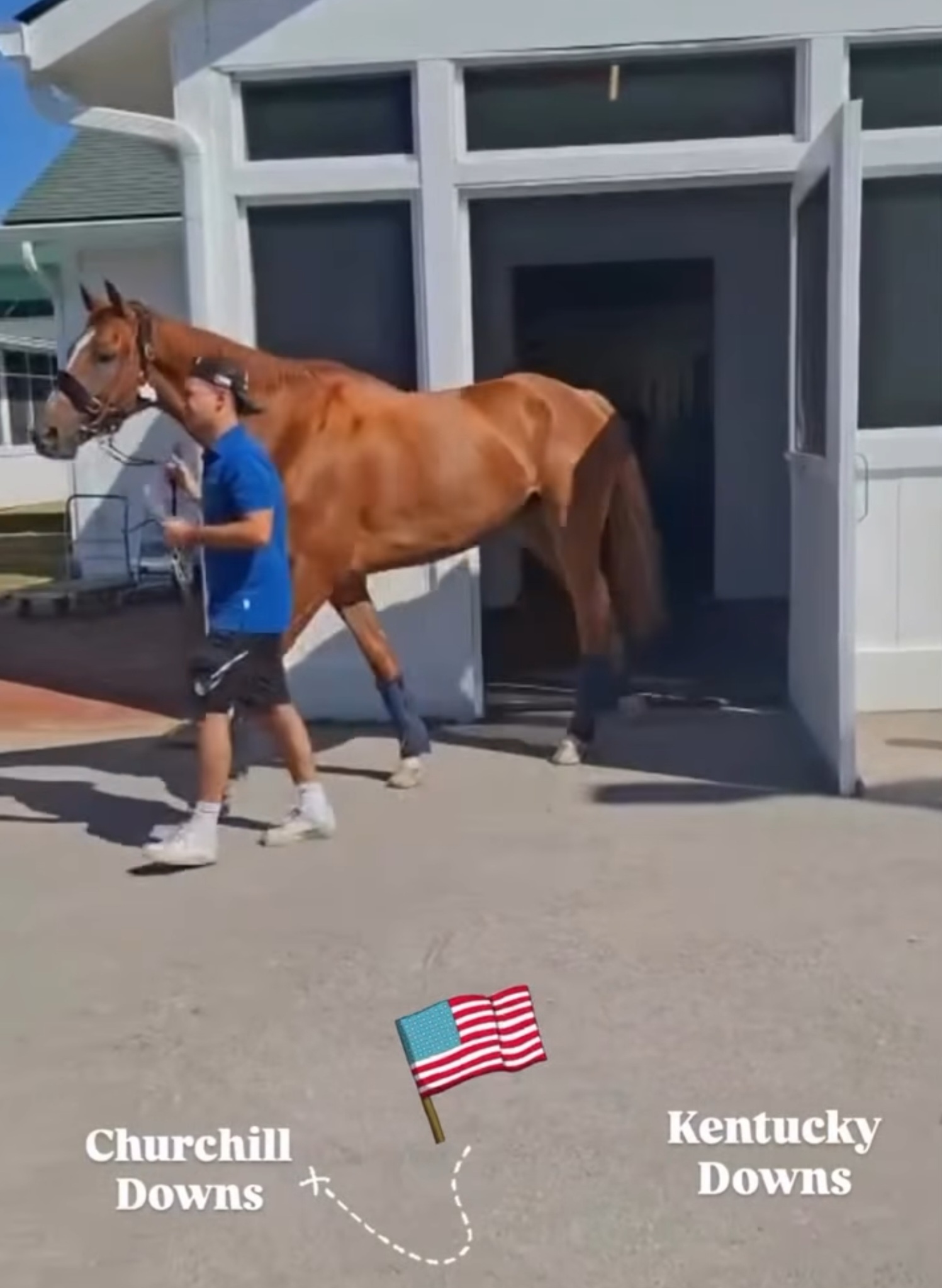 UMZUG NACH KENTUCKY DOWNS