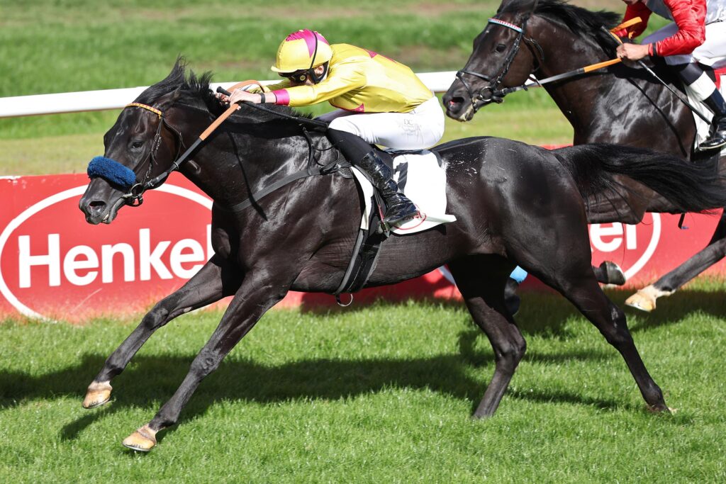 WIKINGER ZUM DRITTEN