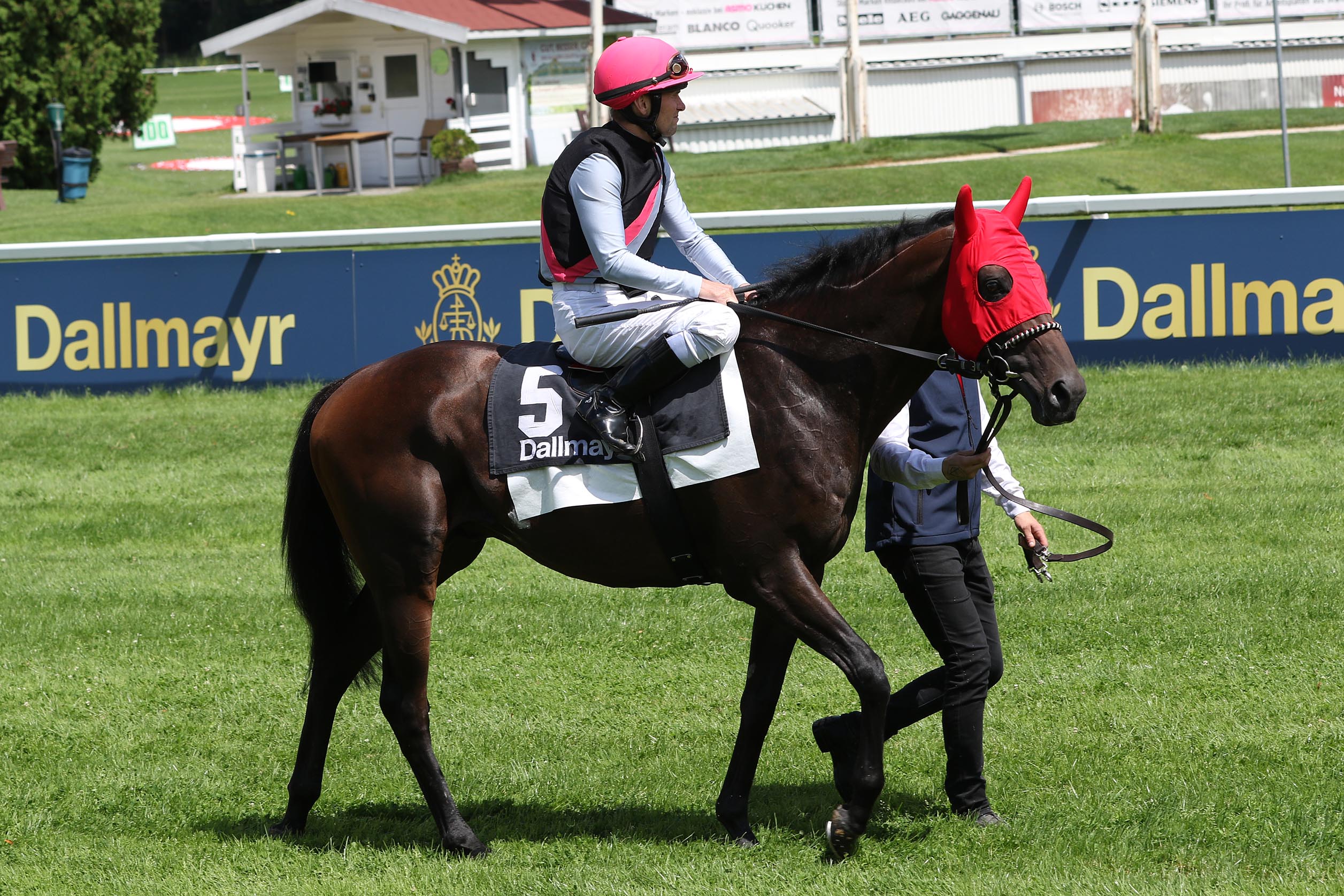 WLCHES GESICHT ZEIGT STRAIGHT