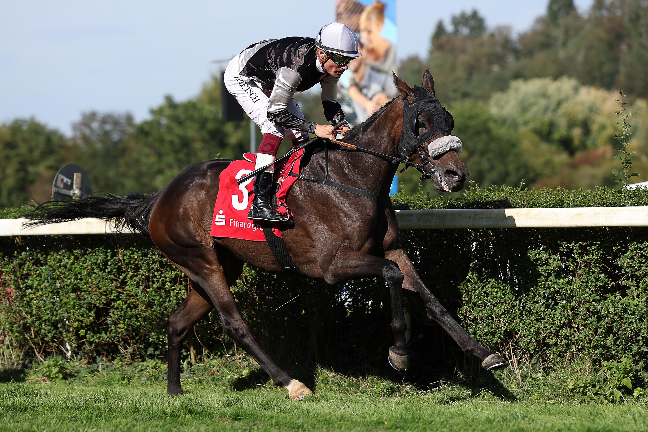 DAWN SKY KANN AUCH HANDICAP